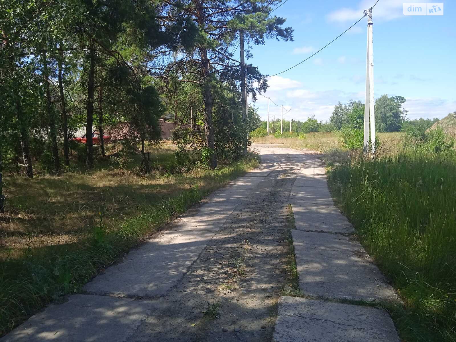 Земельна ділянка під житлову забудову в Пиляві, площа 25 соток фото 1 Земельна ділянка під житлову забудову в Пиляві, площа 25 соток фото 1