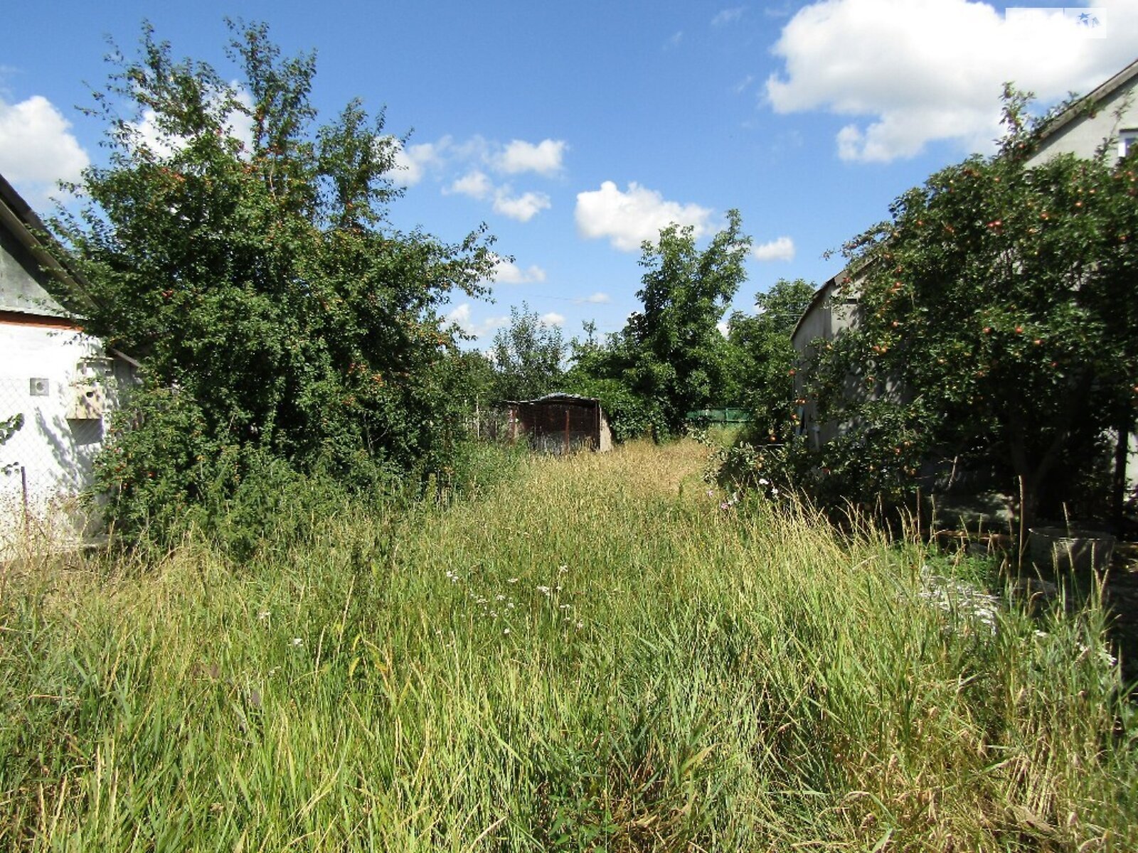 Земельна ділянка під житлову забудову в Писарівці, площа 3.5 сотки фото 1