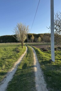 Земельный участок под жилую застройку в Писаревке, площадь 18 соток фото 2