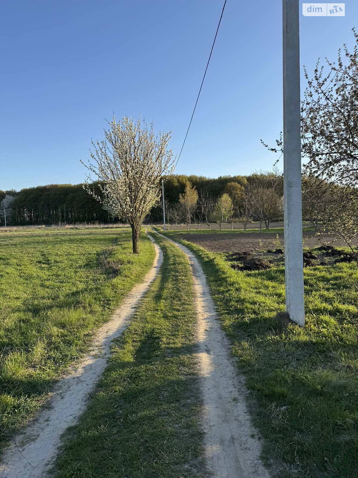 Земельный участок под жилую застройку в Писаревке, площадь 18 соток фото 1 Земельный участок под жилую застройку в Писаревке, площадь 18 соток фото 1