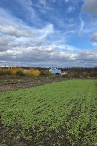 Земельный участок под жилую застройку в Писаревке, площадь 15 соток фото 2