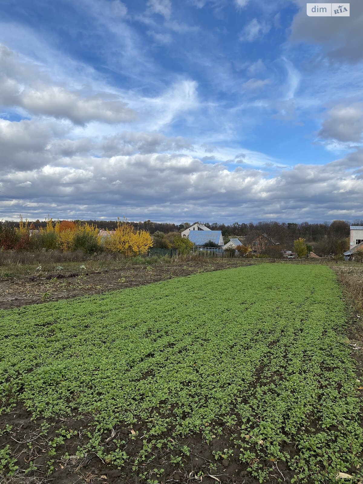 Земельный участок под жилую застройку в Писаревке, площадь 15 соток фото 1