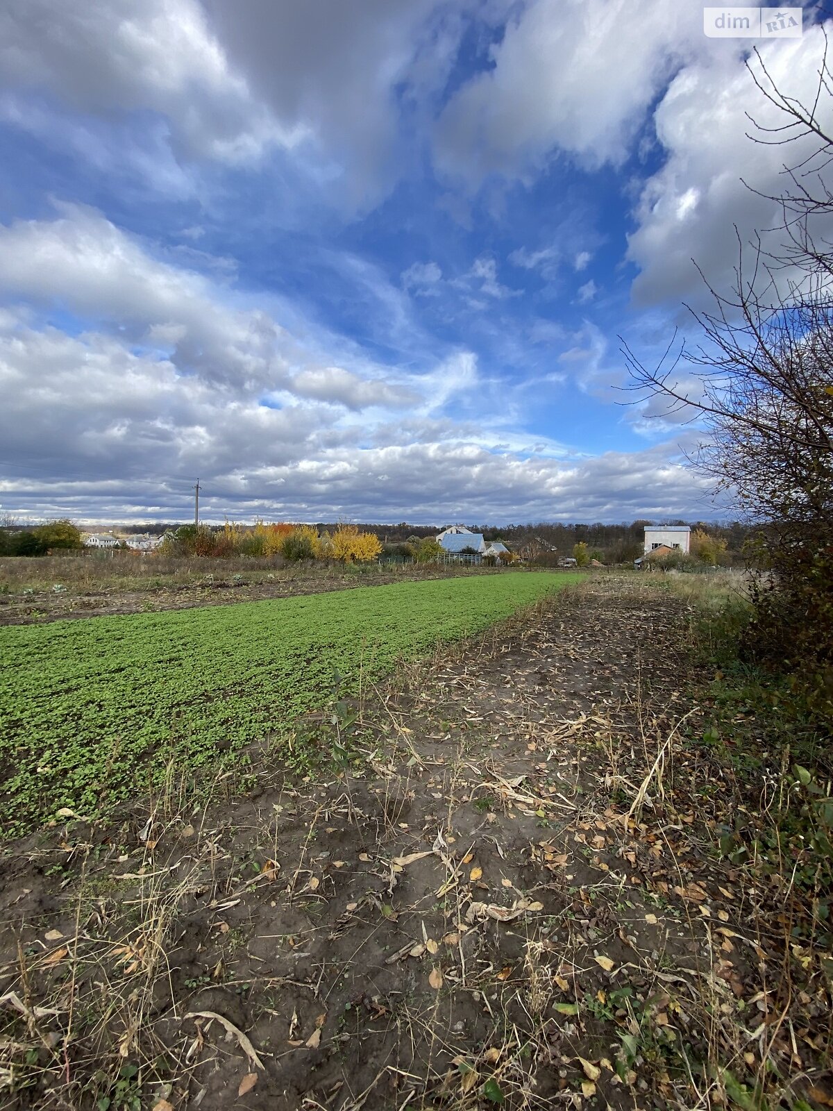 Земельный участок под жилую застройку в Писаревке, площадь 15 соток фото 1