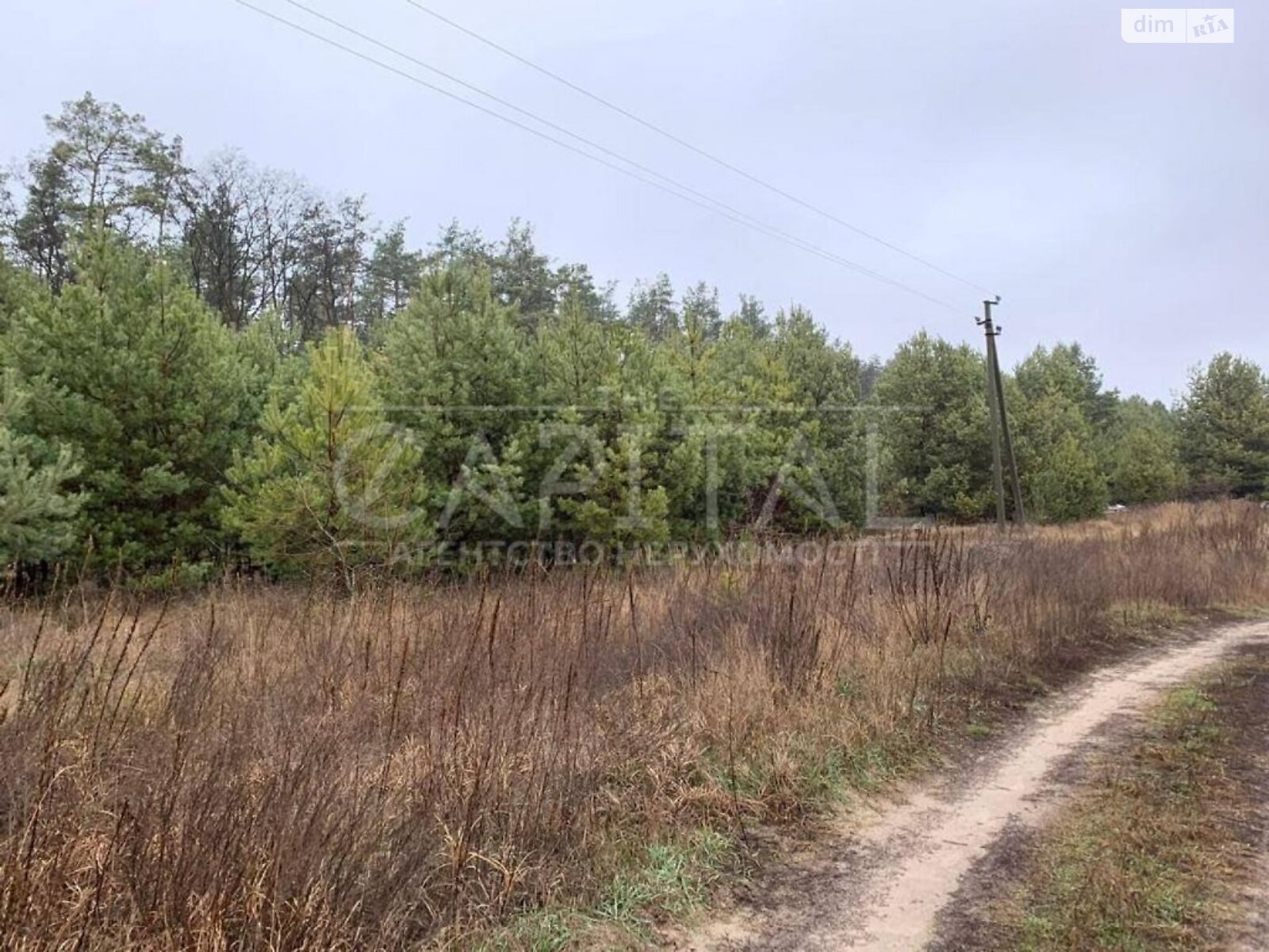 Земельна ділянка під житлову забудову в Плесецьке, площа 2000 соток фото 1