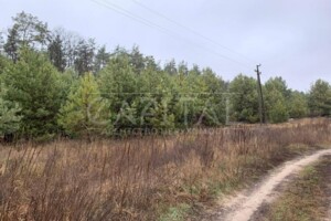 Земельна ділянка під житлову забудову в Плесецьке, площа 2000 соток фото 2