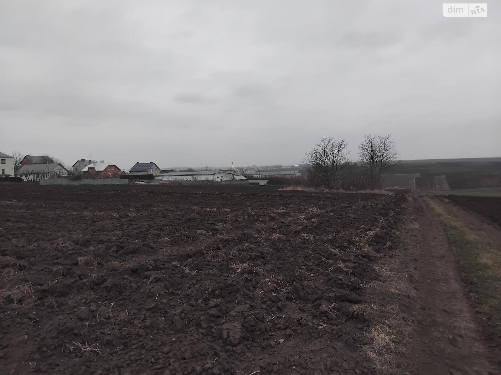Земельный участок под жилую застройку в Плотыче, площадь 15 соток фото 1 Земельный участок под жилую застройку в Плотыче, площадь 15 соток фото 1