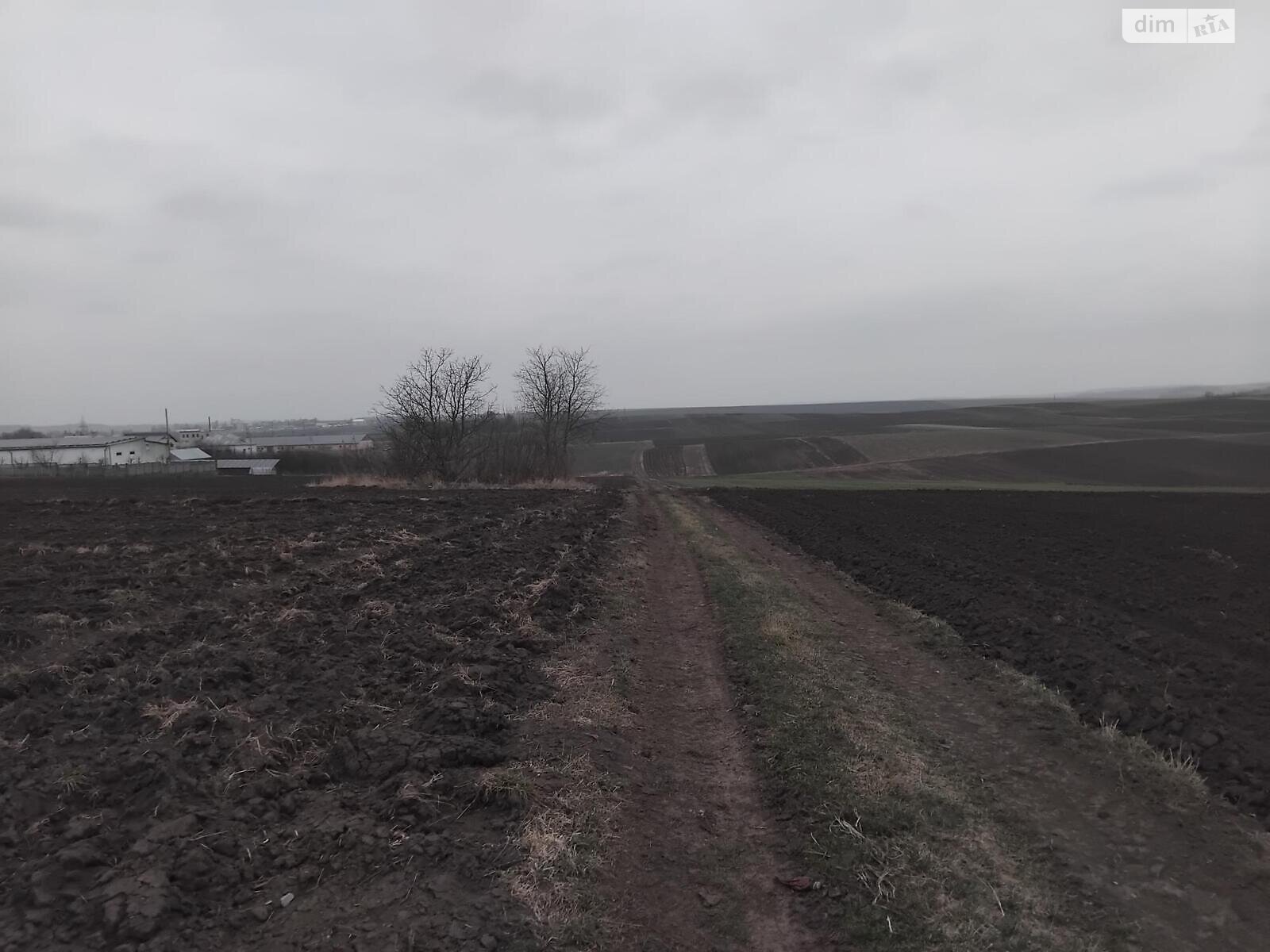 Земельный участок под жилую застройку в Плотыче, площадь 15 соток фото 1 Земельный участок под жилую застройку в Плотыче, площадь 15 соток фото 1