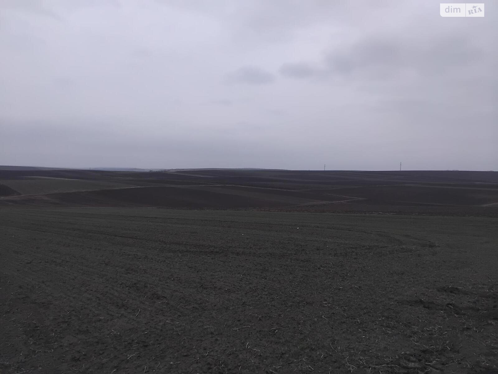 Земельный участок под жилую застройку в Плотыче, площадь 15 соток фото 1 Земельный участок под жилую застройку в Плотыче, площадь 15 соток фото 1