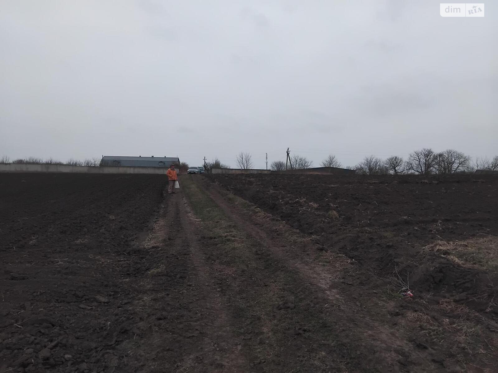 Земельный участок под жилую застройку в Плотыче, площадь 15 соток фото 1 Земельный участок под жилую застройку в Плотыче, площадь 15 соток фото 1