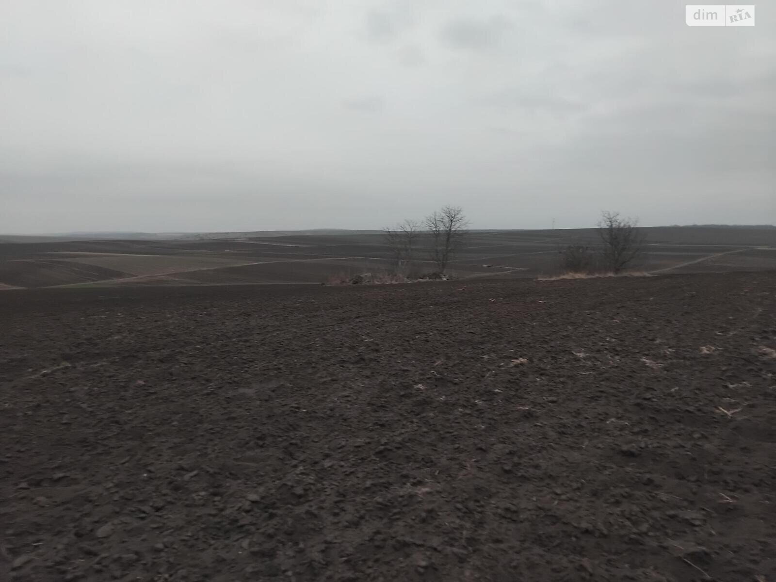 Земельный участок под жилую застройку в Плотыче, площадь 15 соток фото 1 Земельный участок под жилую застройку в Плотыче, площадь 15 соток фото 1