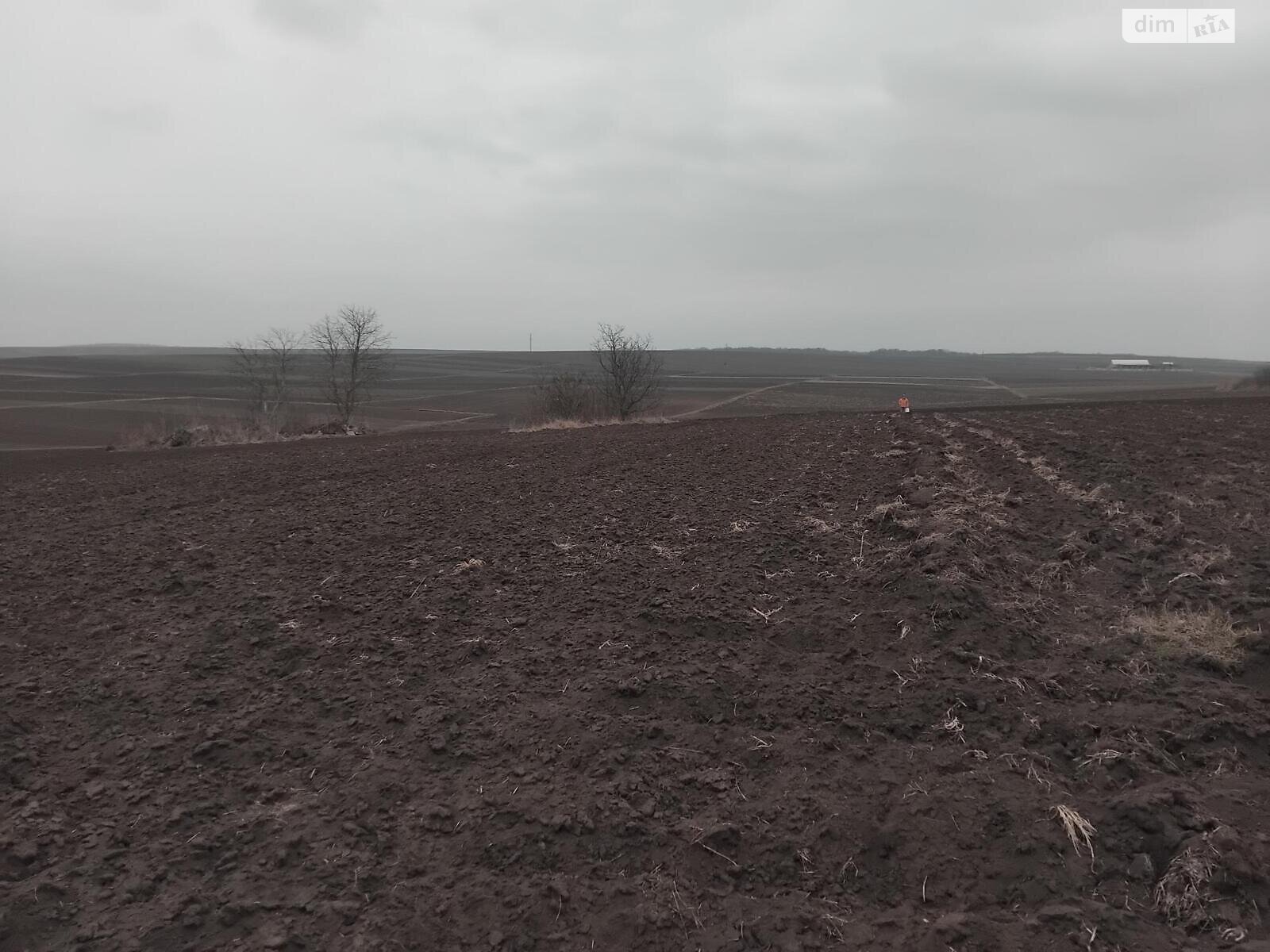 Земельный участок под жилую застройку в Плотыче, площадь 15 соток фото 1 Земельный участок под жилую застройку в Плотыче, площадь 15 соток фото 1