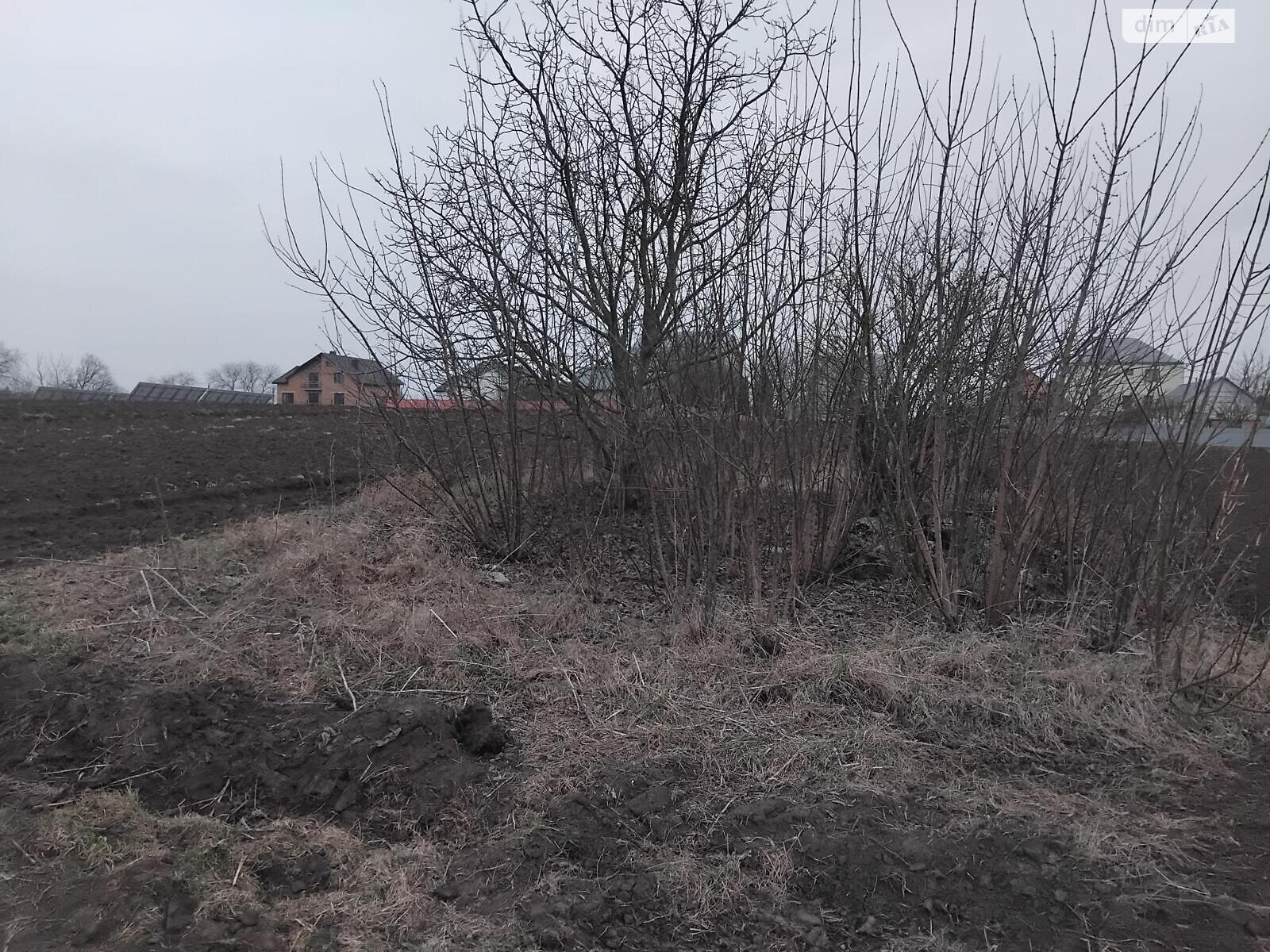 Земельный участок под жилую застройку в Плотыче, площадь 15 соток фото 1 Земельный участок под жилую застройку в Плотыче, площадь 15 соток фото 1