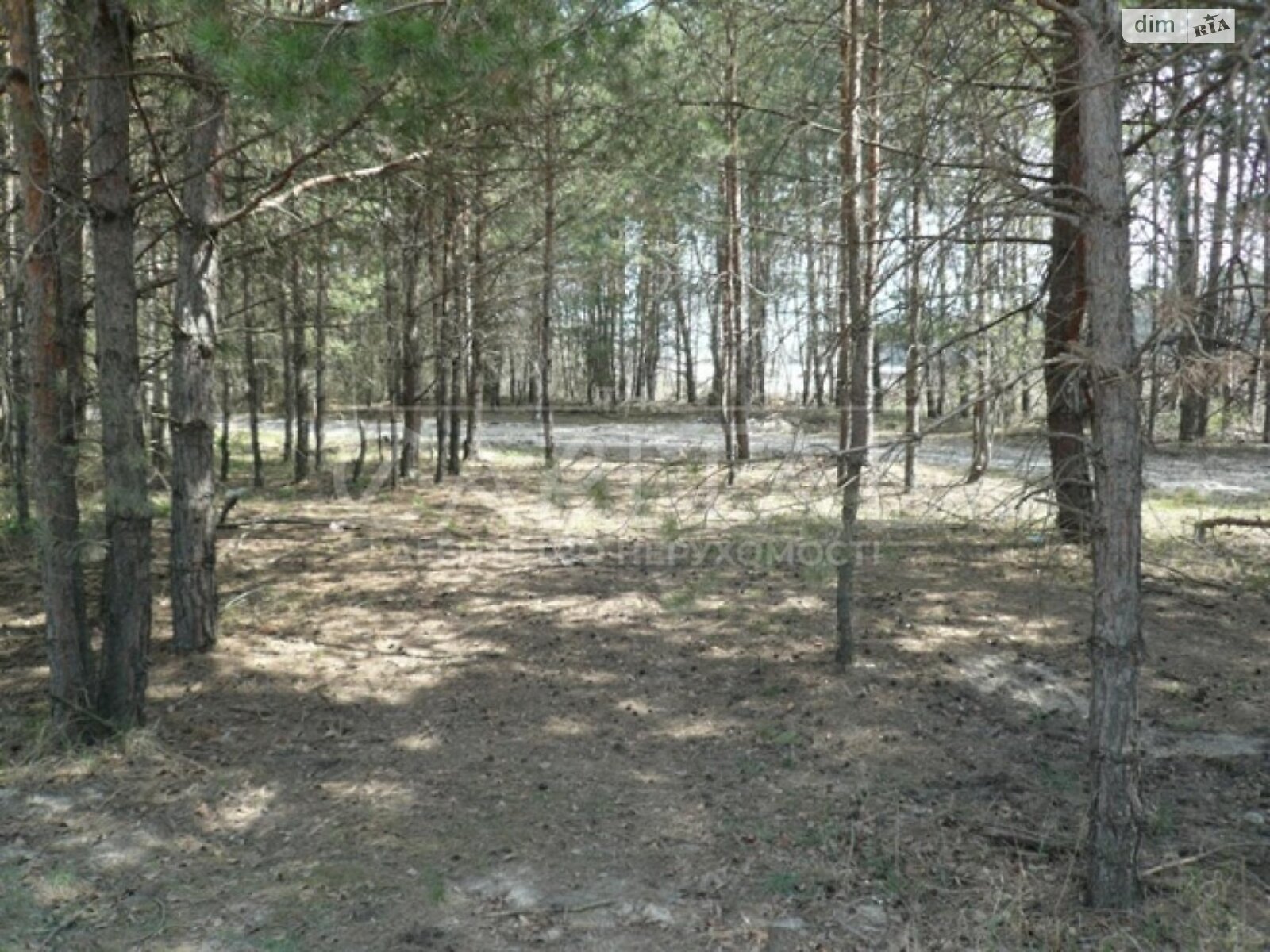 Земельна ділянка під житлову забудову в Плютах, площа 1 Га фото 1 Земельна ділянка під житлову забудову в Плютах, площа 1 Га фото 1