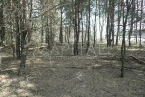 Земельна ділянка під житлову забудову в Плютах, площа 1 Га фото 2