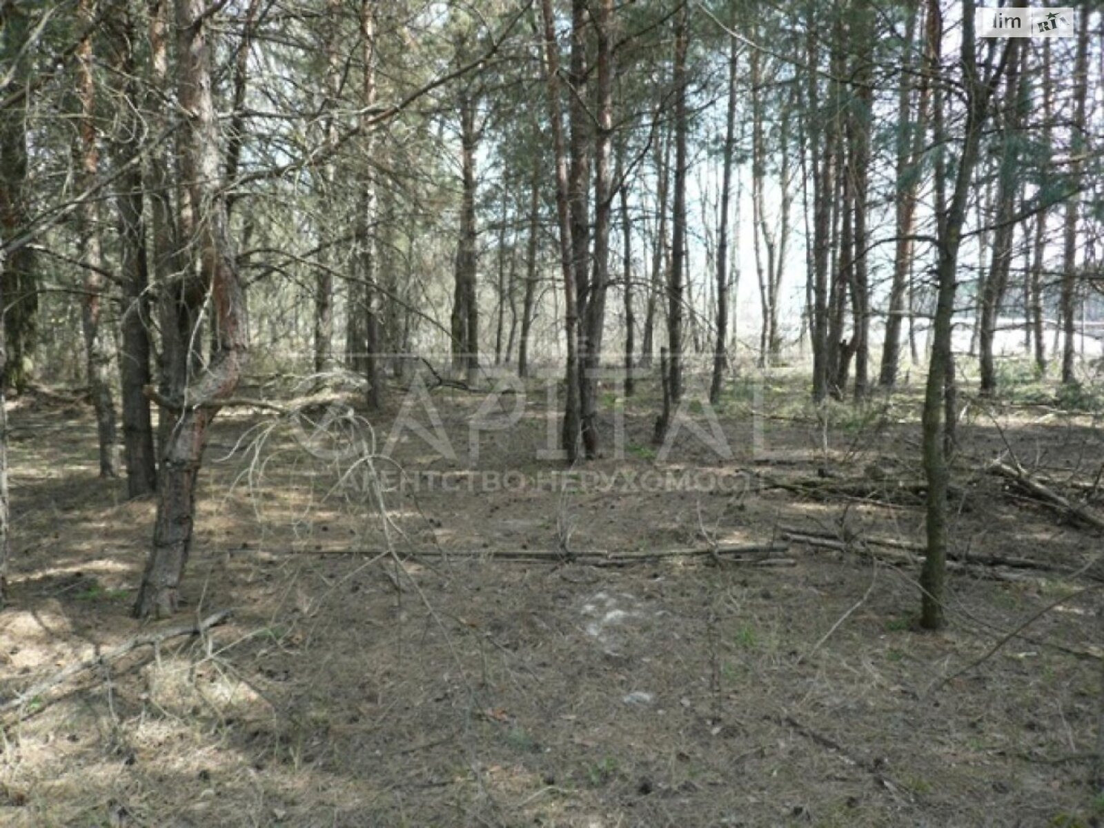 Земельна ділянка під житлову забудову в Плютах, площа 1 Га фото 1 Земельна ділянка під житлову забудову в Плютах, площа 1 Га фото 1