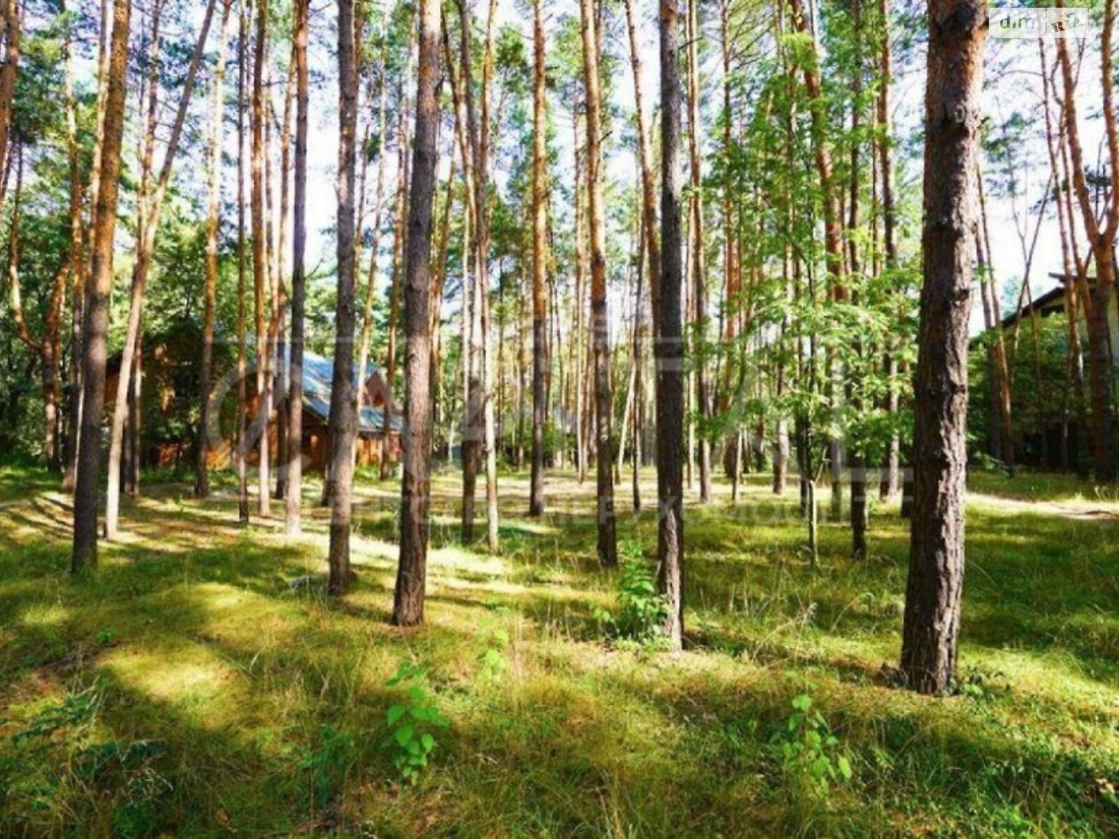 Земельна ділянка під житлову забудову в Плютах, площа 89 соток фото 1