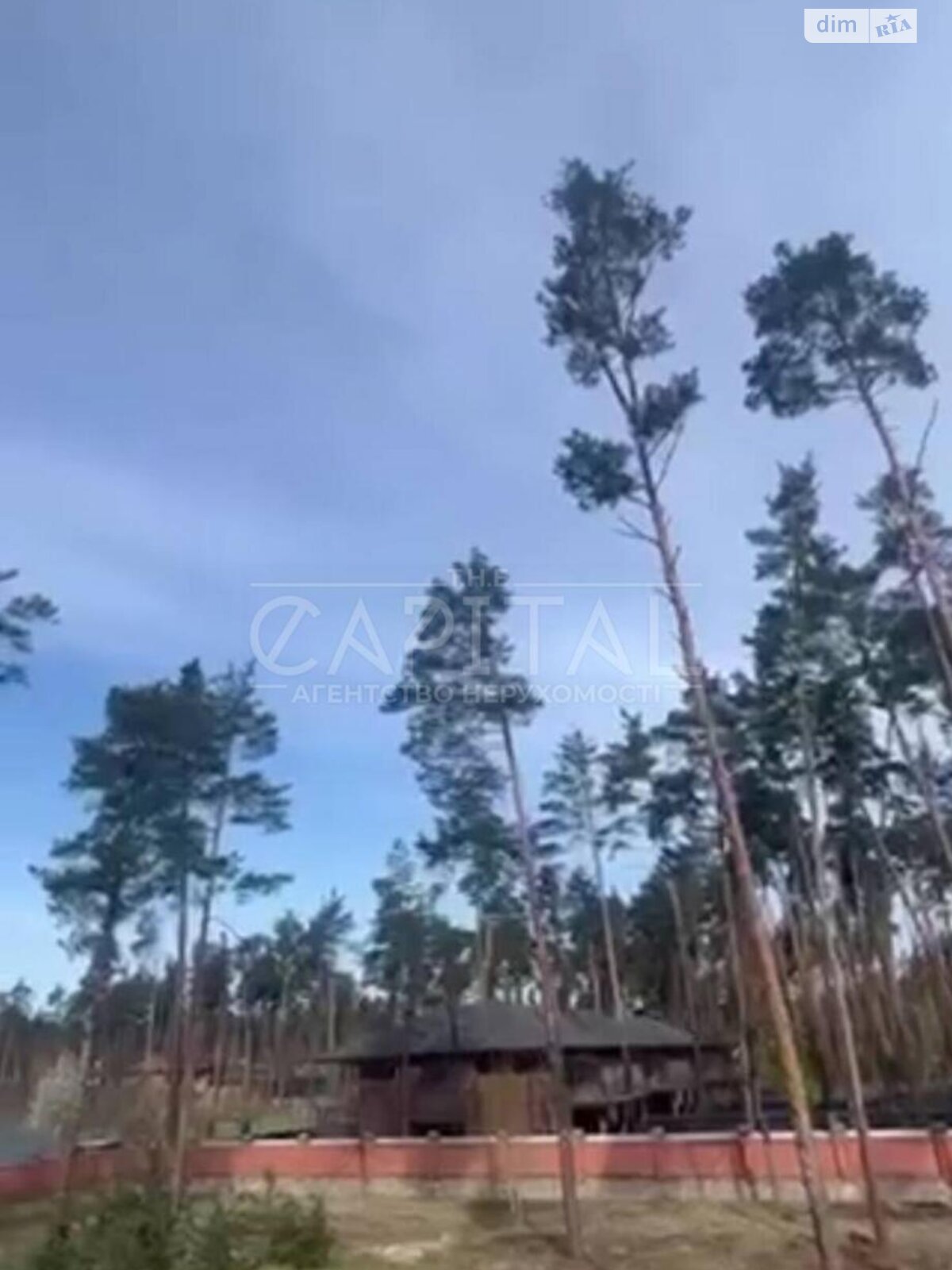 Земельна ділянка під житлову забудову в Плютах, площа 100 соток фото 1 Земельна ділянка під житлову забудову в Плютах, площа 100 соток фото 1