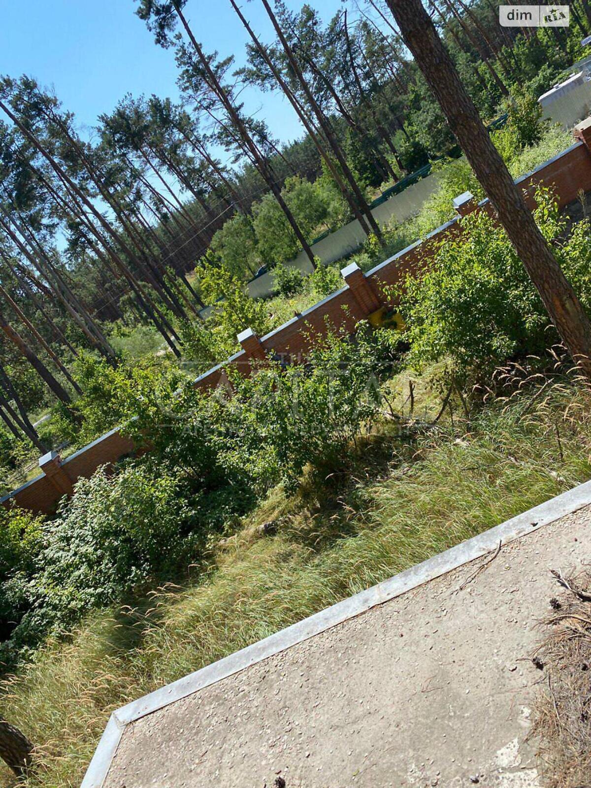 Земельна ділянка під житлову забудову в Плютах, площа 100 соток фото 1 Земельна ділянка під житлову забудову в Плютах, площа 100 соток фото 1