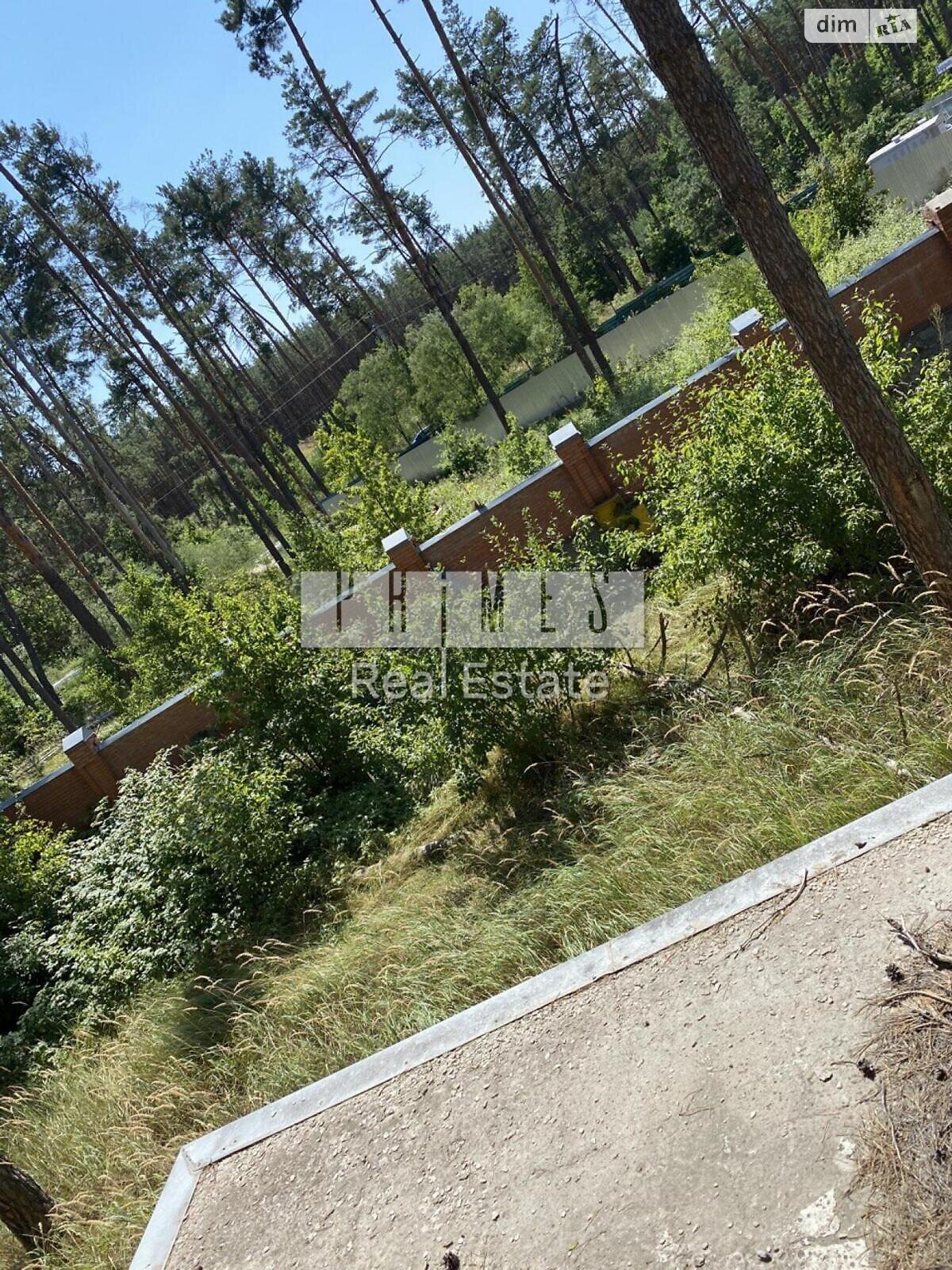 Земельна ділянка під житлову забудову в Плютах, площа 80 соток фото 1 Земельна ділянка під житлову забудову в Плютах, площа 80 соток фото 1