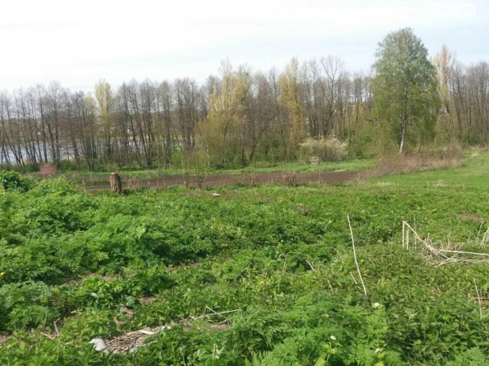 Земельный участок под жилую застройку в Побережном, площадь 36 соток фото 1