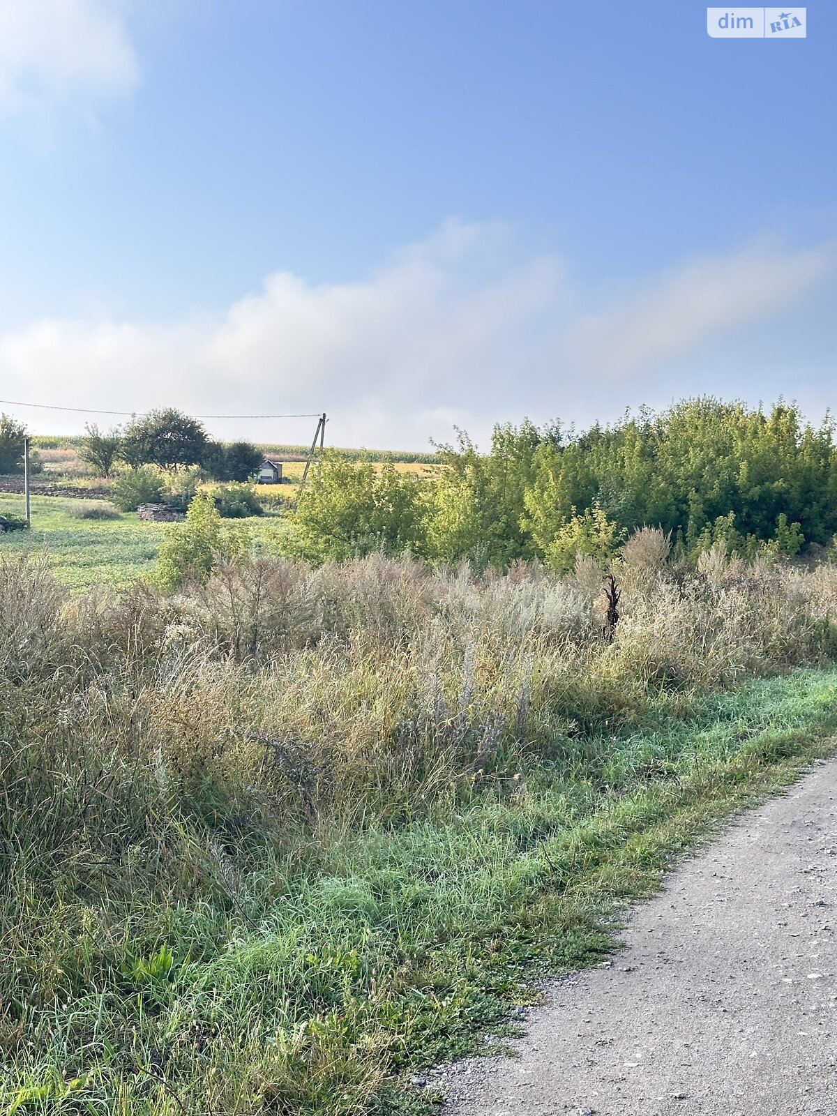 Земельна ділянка під житлову забудову в Почапинці, площа 23 сотки фото 1