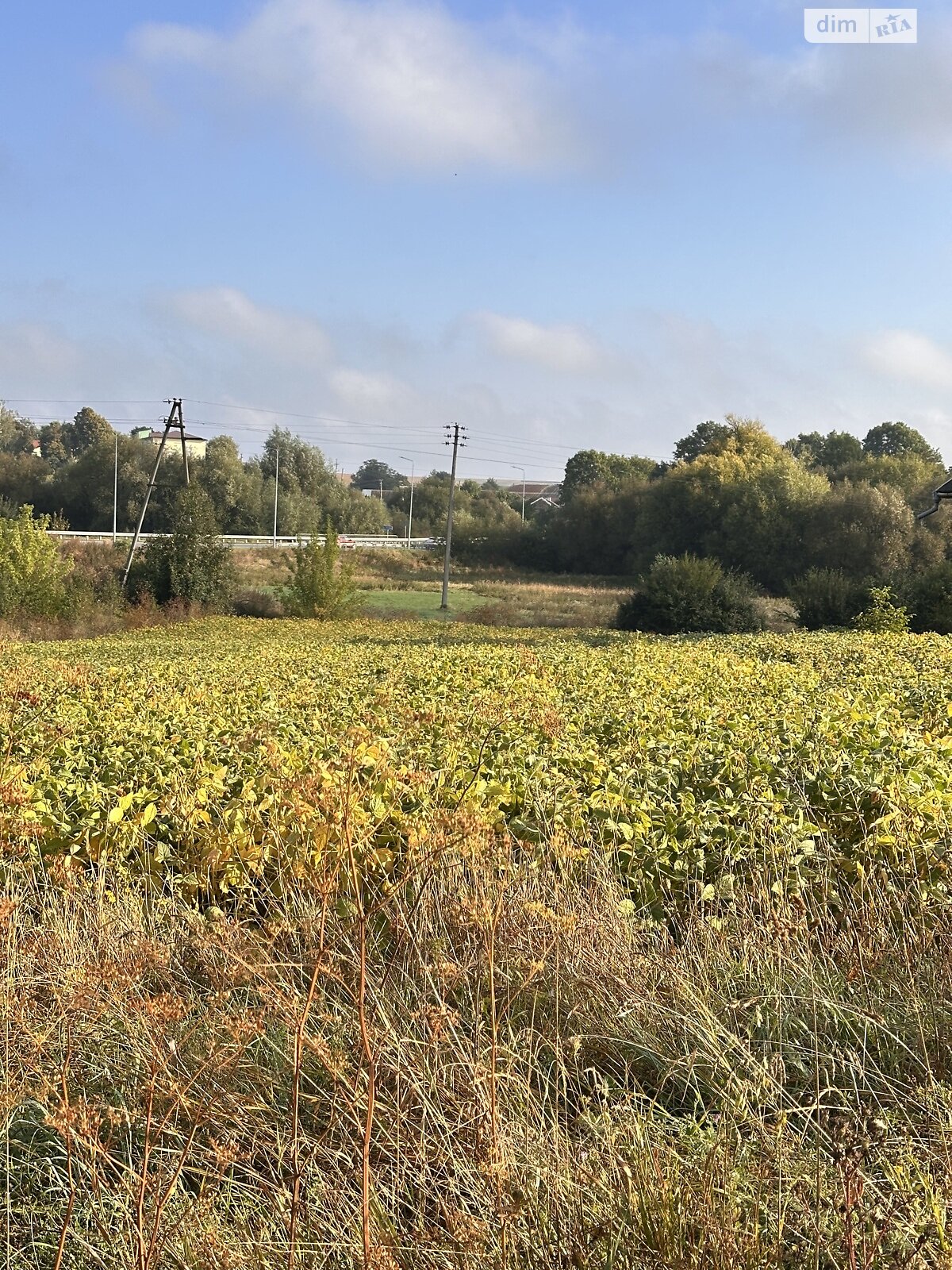 Земельна ділянка під житлову забудову в Почапинці, площа 23 сотки фото 1