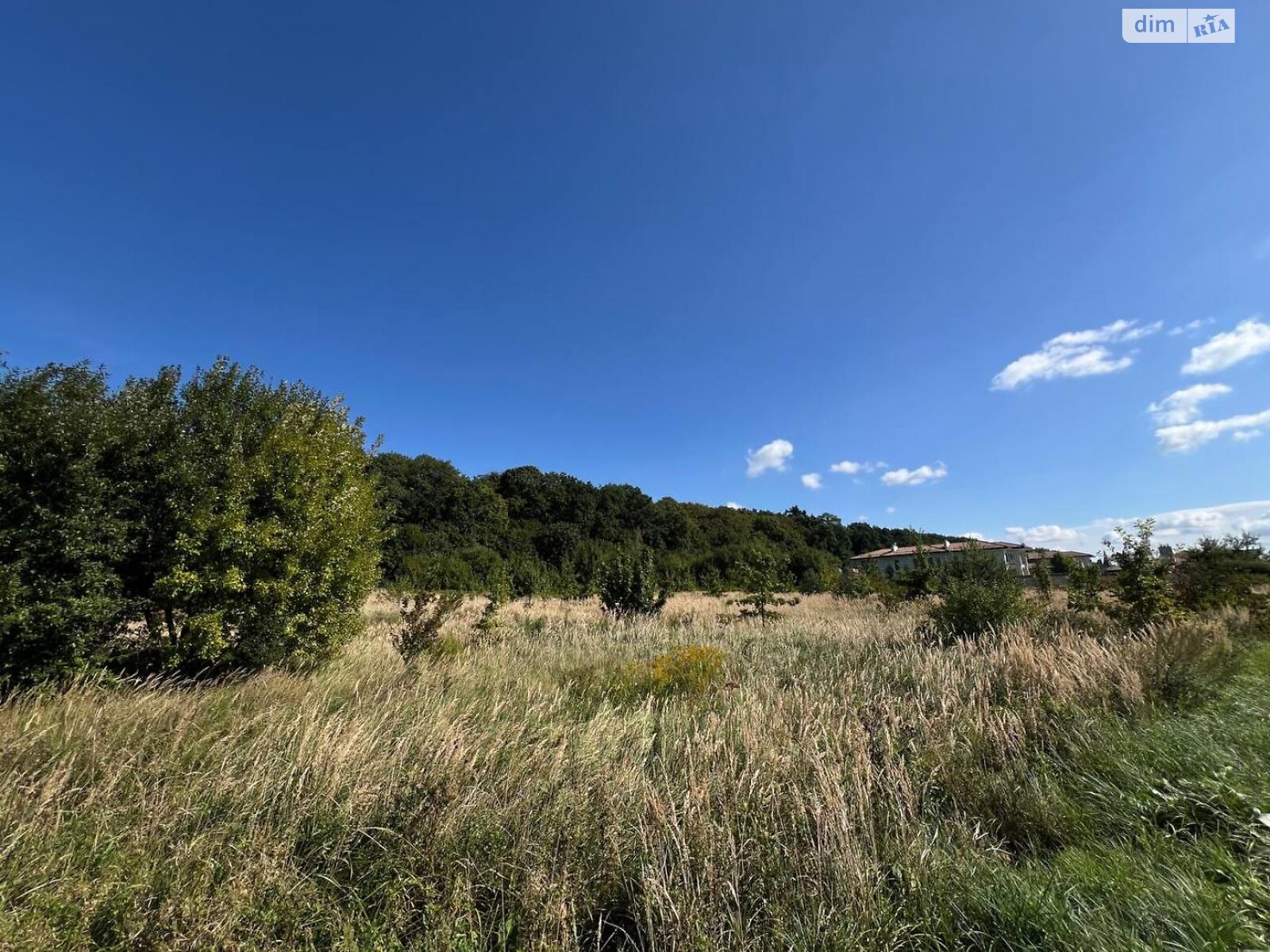 Земельный участок под жилую застройку в Подберезцах, площадь 72 сотки фото 1 Земельный участок под жилую застройку в Подберезцах, площадь 72 сотки фото 1