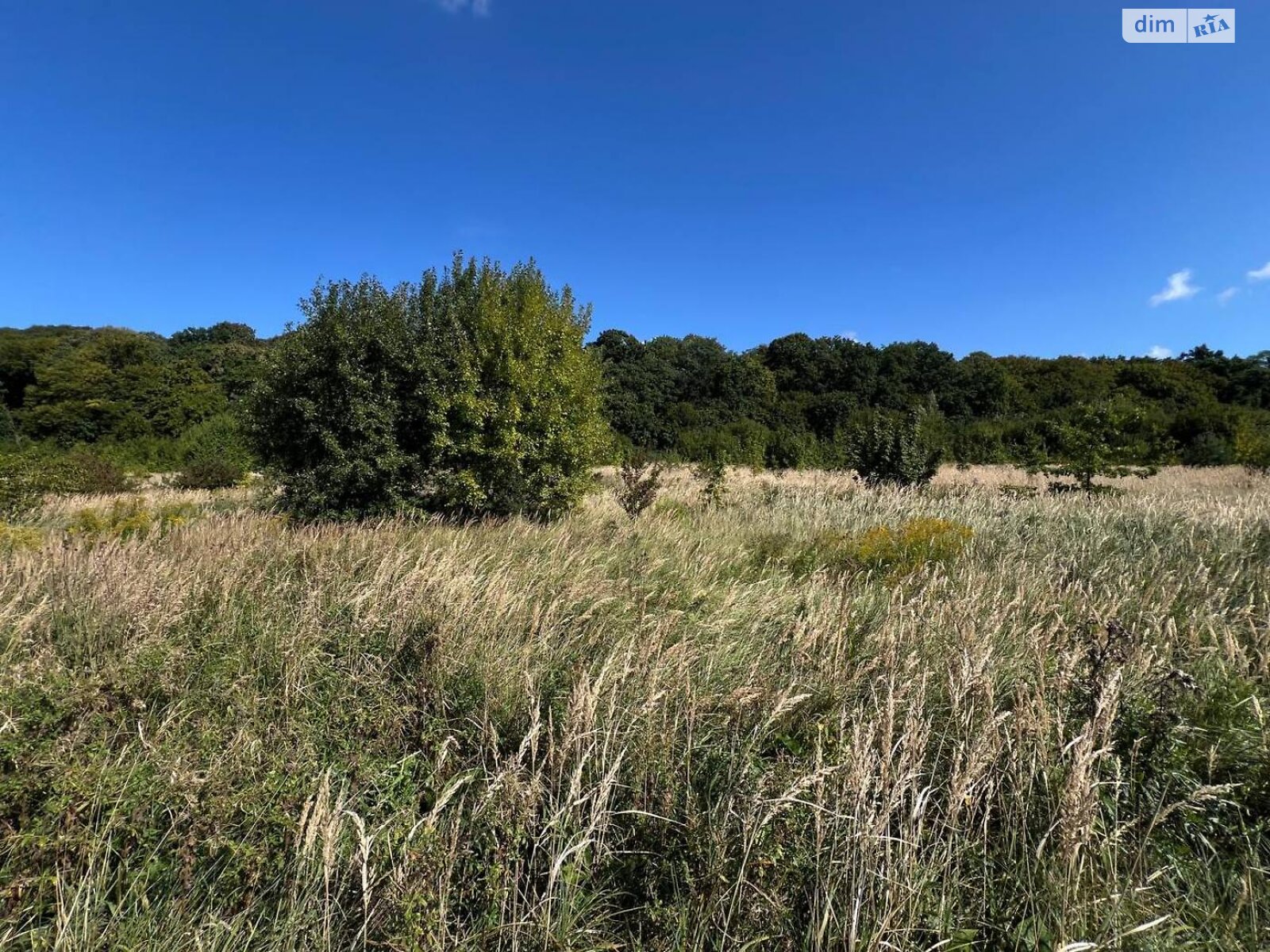 Земельный участок под жилую застройку в Подберезцах, площадь 72 сотки фото 1 Земельный участок под жилую застройку в Подберезцах, площадь 72 сотки фото 1