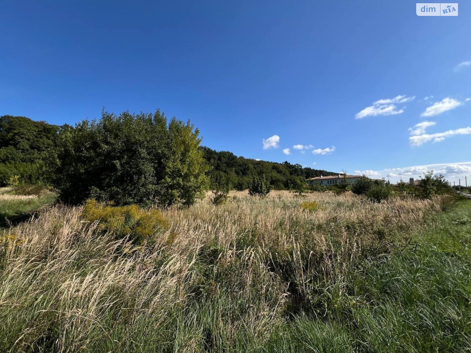 Земельный участок под жилую застройку в Подберезцах, площадь 72 сотки фото 1 Земельный участок под жилую застройку в Подберезцах, площадь 72 сотки фото 1