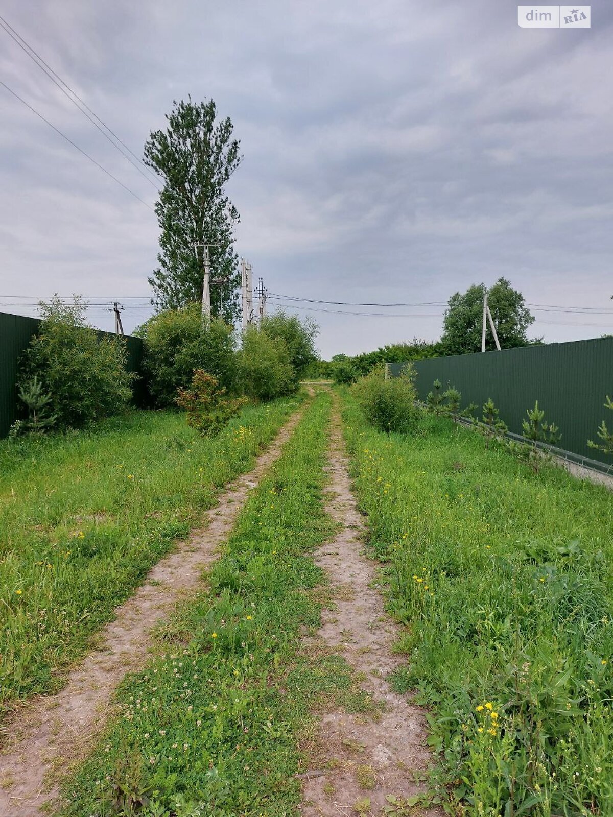 Земельный участок под жилую застройку в Подберезцах, площадь 8.5 сотки фото 1