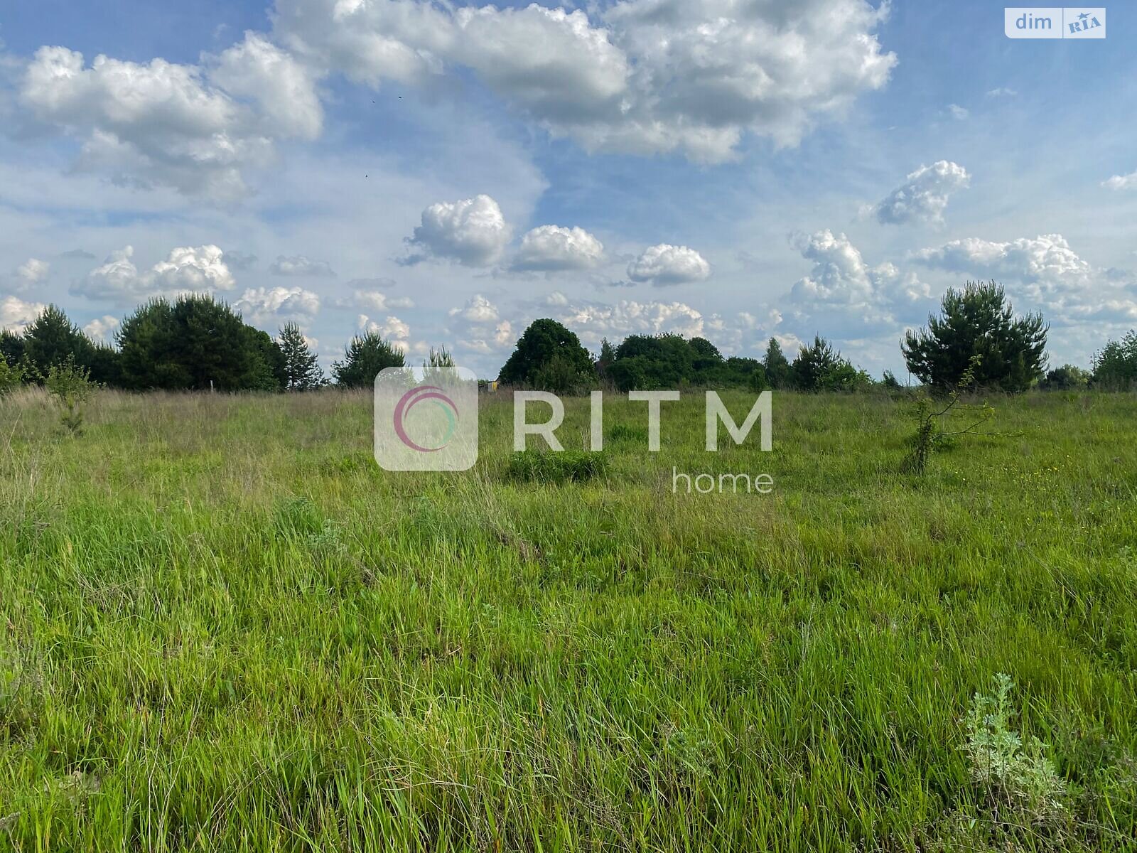 Земельна ділянка під житлову забудову в Піддубцях, площа 11.96 сотки фото 1 Земельна ділянка під житлову забудову в Піддубцях, площа 11.96 сотки фото 1