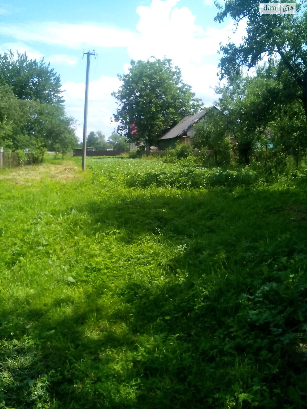 Земельный участок под жилую застройку в Подгорье, площадь 31 сотка фото 1 Земельный участок под жилую застройку в Подгорье, площадь 31 сотка фото 1