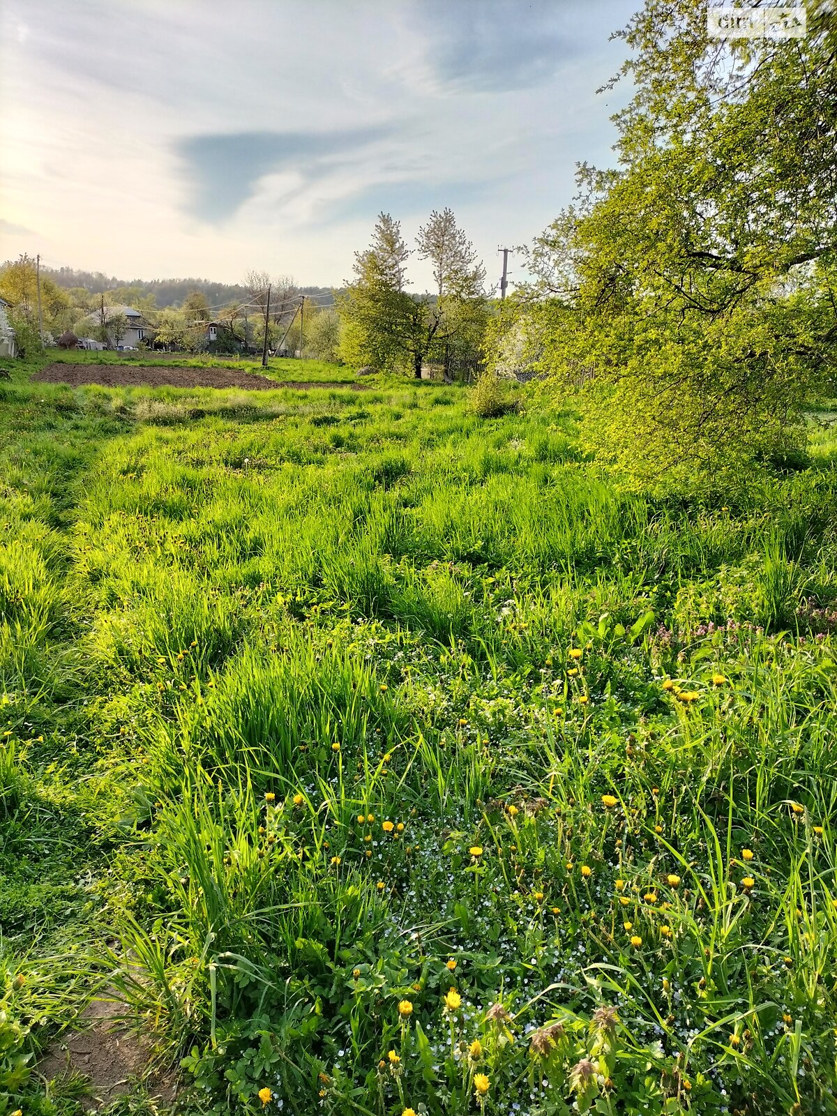 Земельный участок под жилую застройку в Подгорье, площадь 31 сотка фото 1 Земельный участок под жилую застройку в Подгорье, площадь 31 сотка фото 1