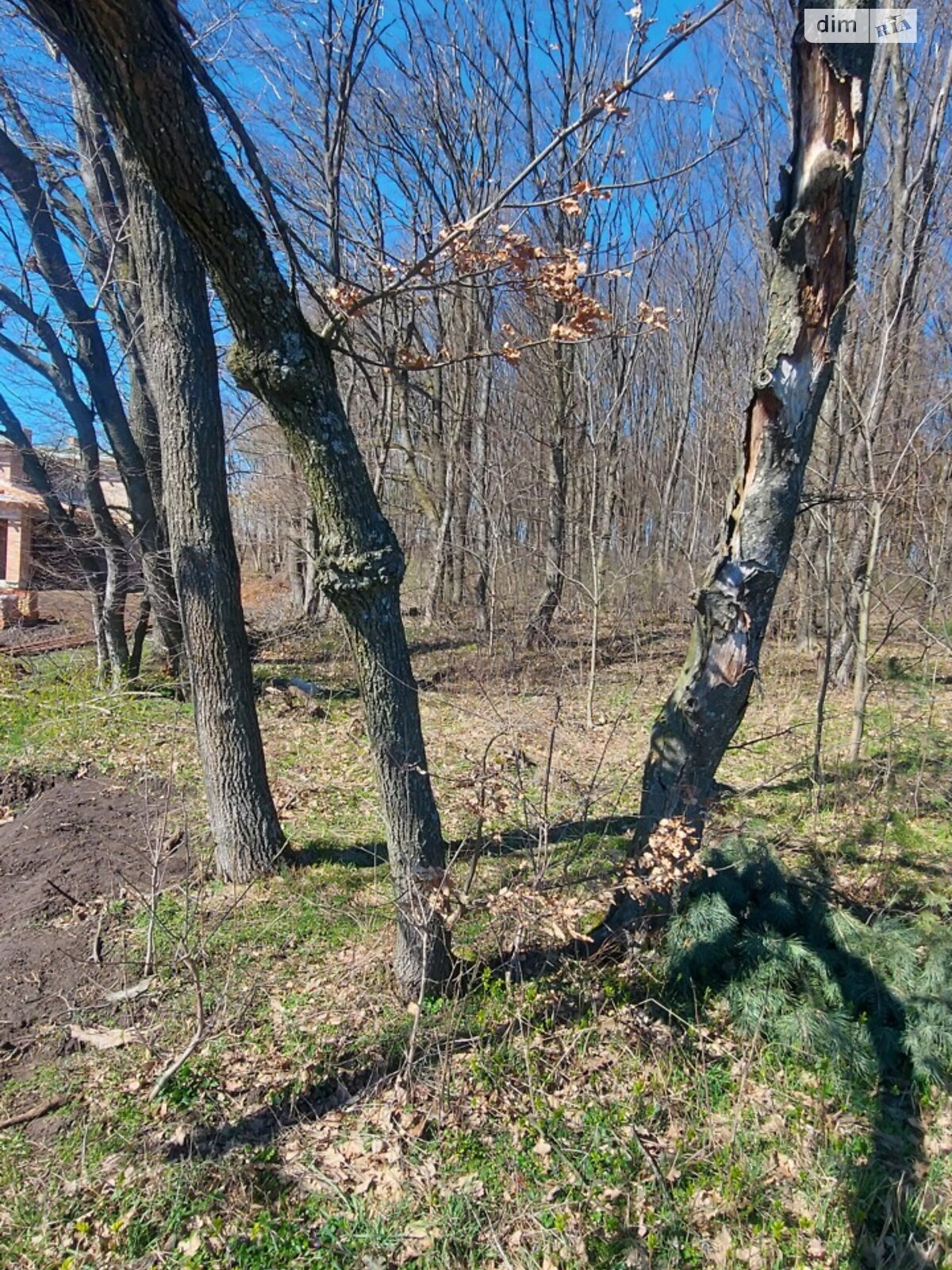 Земельный участок под жилую застройку в Подгородном, площадь 5 соток фото 1