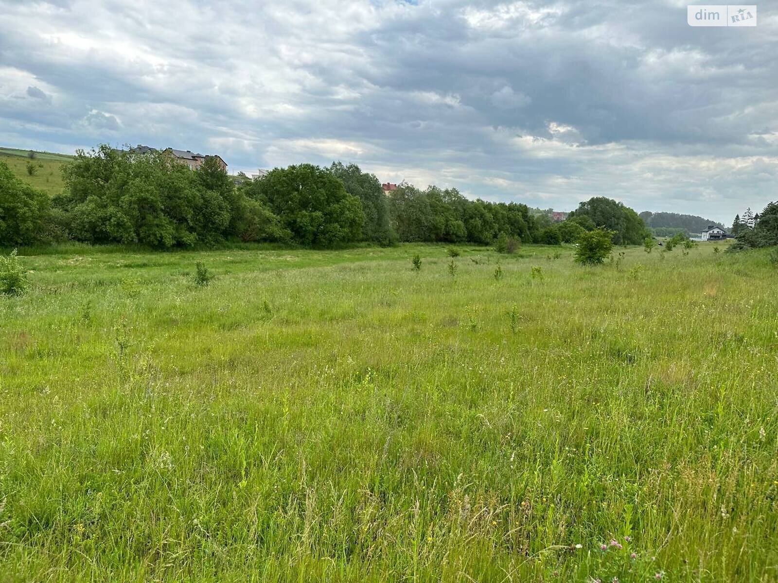 Земельна ділянка під житлову забудову в Підгородне, площа 50 соток фото 1