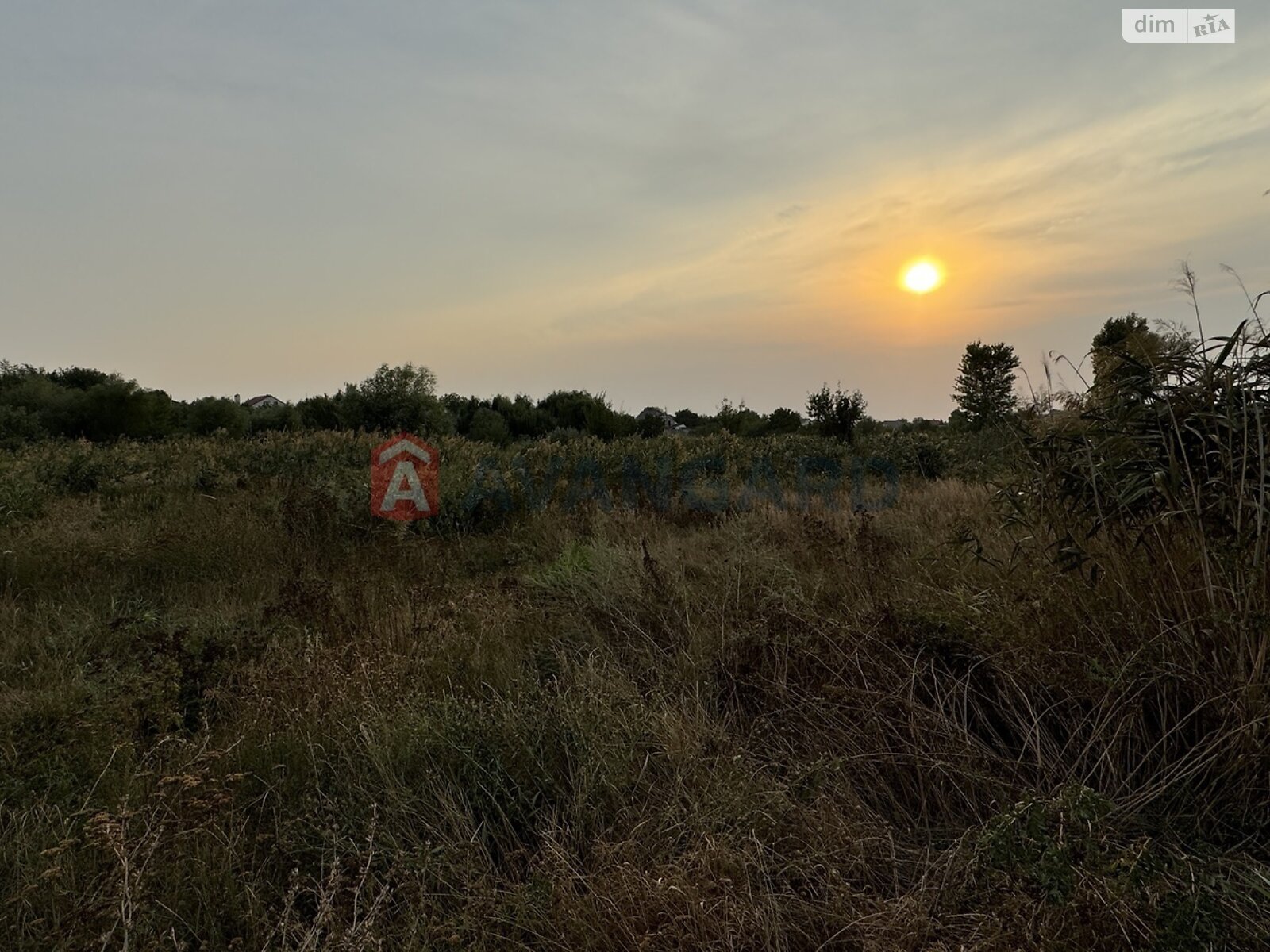 Земельна ділянка під житлову забудову в Підгородне, площа 8 соток фото 1 Земельна ділянка під житлову забудову в Підгородне, площа 8 соток фото 1