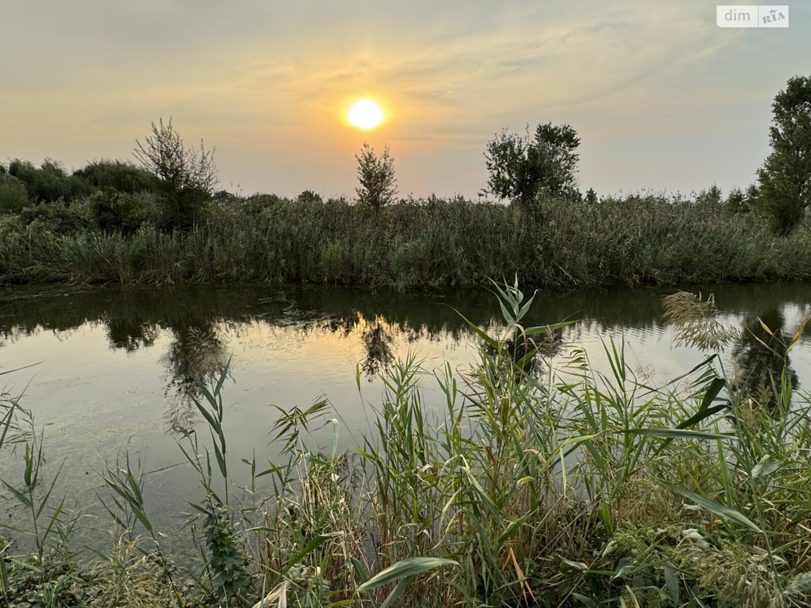 Земельна ділянка під житлову забудову в Підгородне, площа 25 соток фото 1 Земельна ділянка під житлову забудову в Підгородне, площа 25 соток фото 1