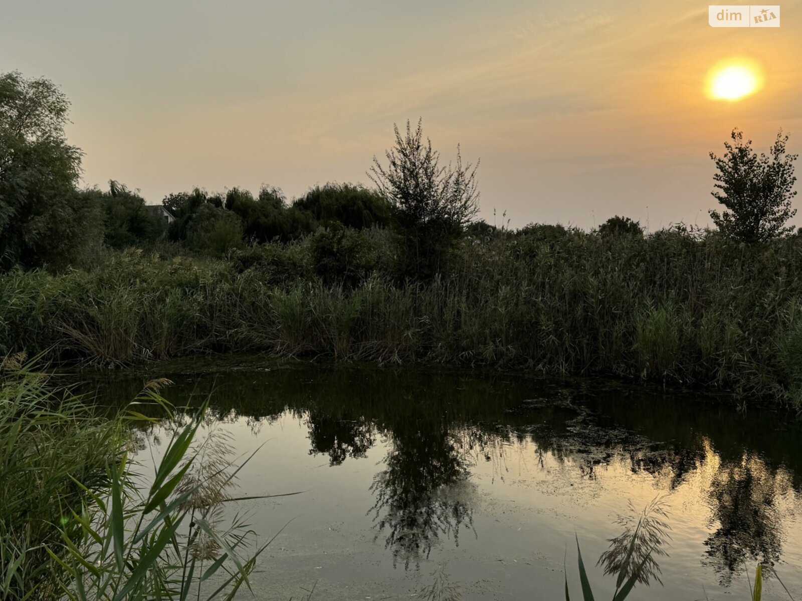 Земельна ділянка під житлову забудову в Підгородне, площа 25 соток фото 1 Земельна ділянка під житлову забудову в Підгородне, площа 25 соток фото 1