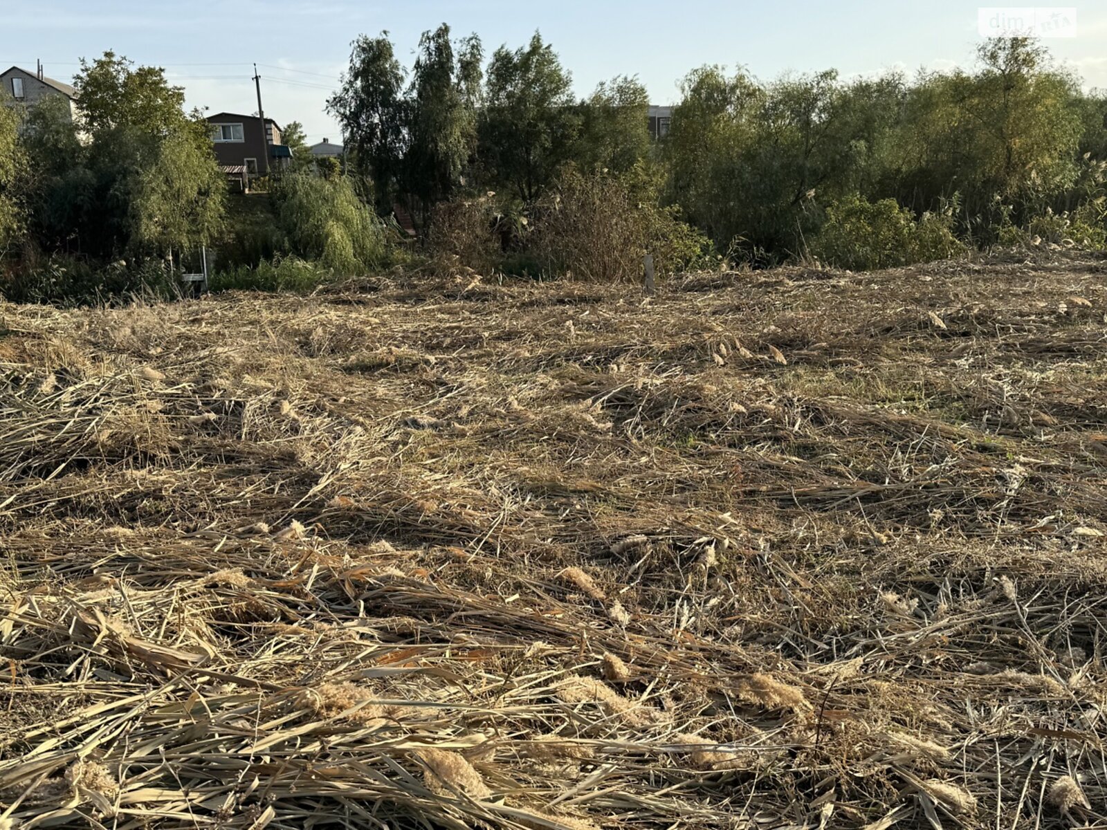 Земельна ділянка під житлову забудову в Підгородне, площа 25 соток фото 1 Земельна ділянка під житлову забудову в Підгородне, площа 25 соток фото 1