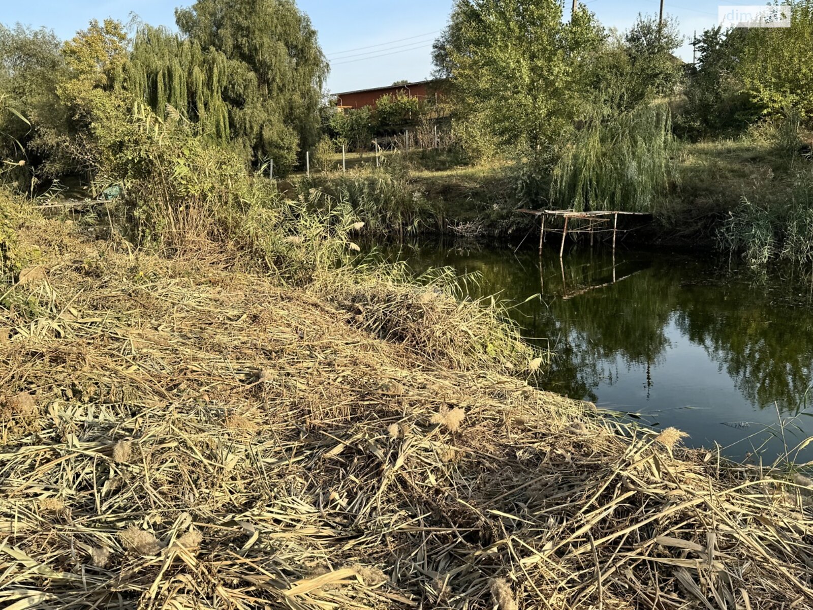 Земельна ділянка під житлову забудову в Підгородне, площа 25 соток фото 1 Земельна ділянка під житлову забудову в Підгородне, площа 25 соток фото 1