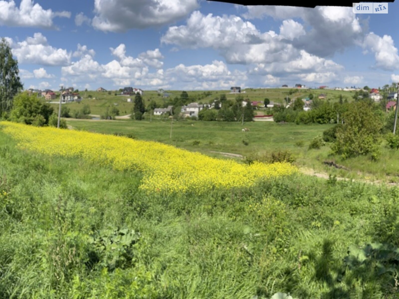 Земельна ділянка під житлову забудову в Підгородне, площа 16 соток фото 1 Земельна ділянка під житлову забудову в Підгородне, площа 16 соток фото 1