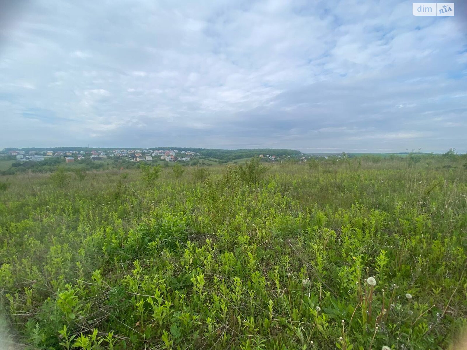 Земельна ділянка під житлову забудову в Підгородне, площа 12 соток фото 1 Земельна ділянка під житлову забудову в Підгородне, площа 12 соток фото 1