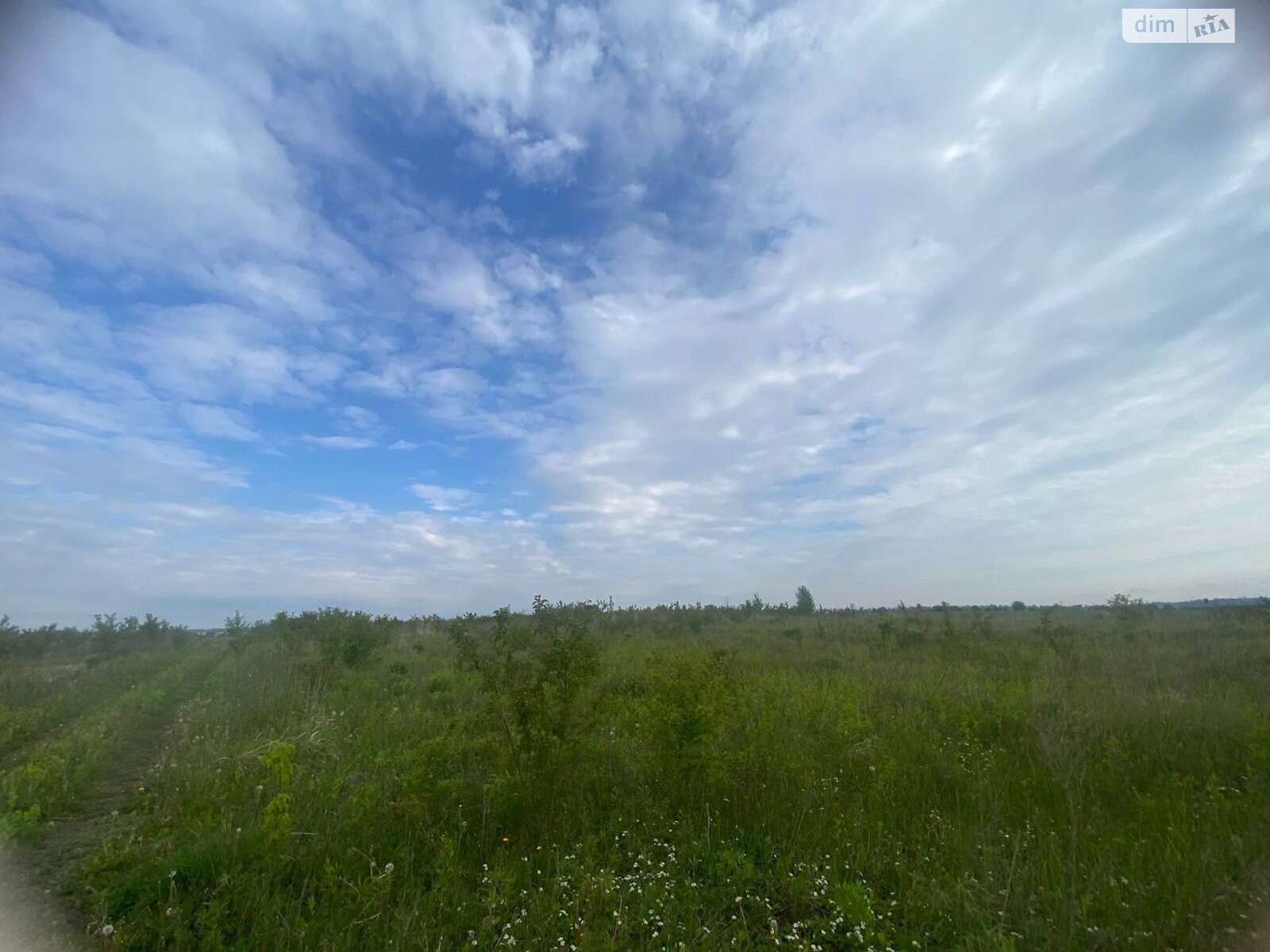 Земельна ділянка під житлову забудову в Підгородне, площа 12 соток фото 1 Земельна ділянка під житлову забудову в Підгородне, площа 12 соток фото 1