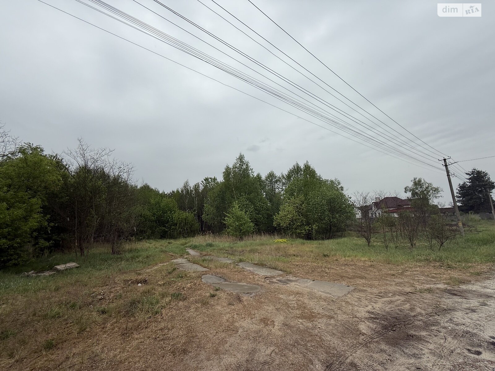 Земельна ділянка під житлову забудову в Підгірцях, площа 1 Га фото 1 Земельна ділянка під житлову забудову в Підгірцях, площа 1 Га фото 1