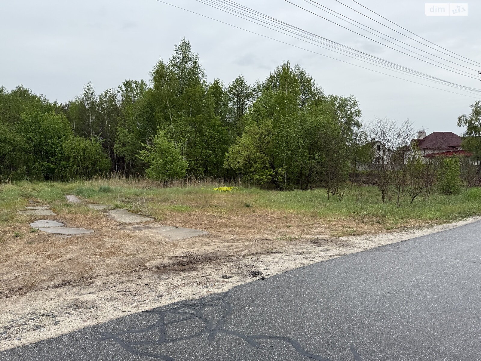 Земельна ділянка під житлову забудову в Підгірцях, площа 1 Га фото 1 Земельна ділянка під житлову забудову в Підгірцях, площа 1 Га фото 1
