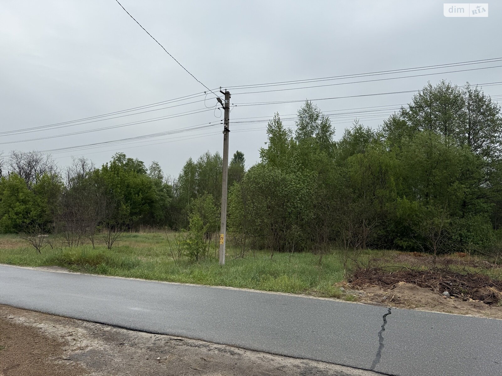 Земельна ділянка під житлову забудову в Підгірцях, площа 1 Га фото 1 Земельна ділянка під житлову забудову в Підгірцях, площа 1 Га фото 1
