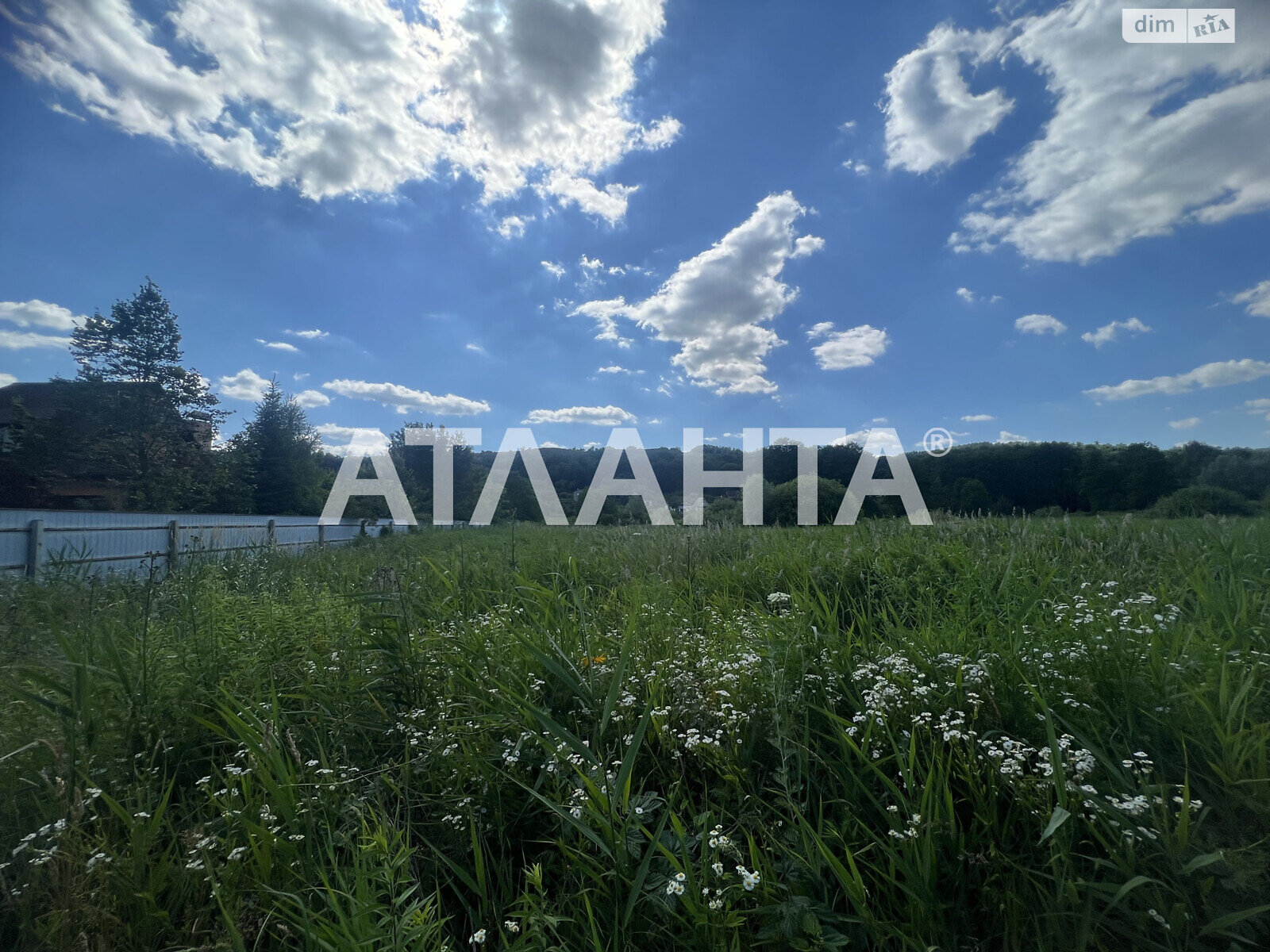 Земельный участок под жилую застройку в Подгорцах, площадь 25 соток фото 1 Земельный участок под жилую застройку в Подгорцах, площадь 25 соток фото 1