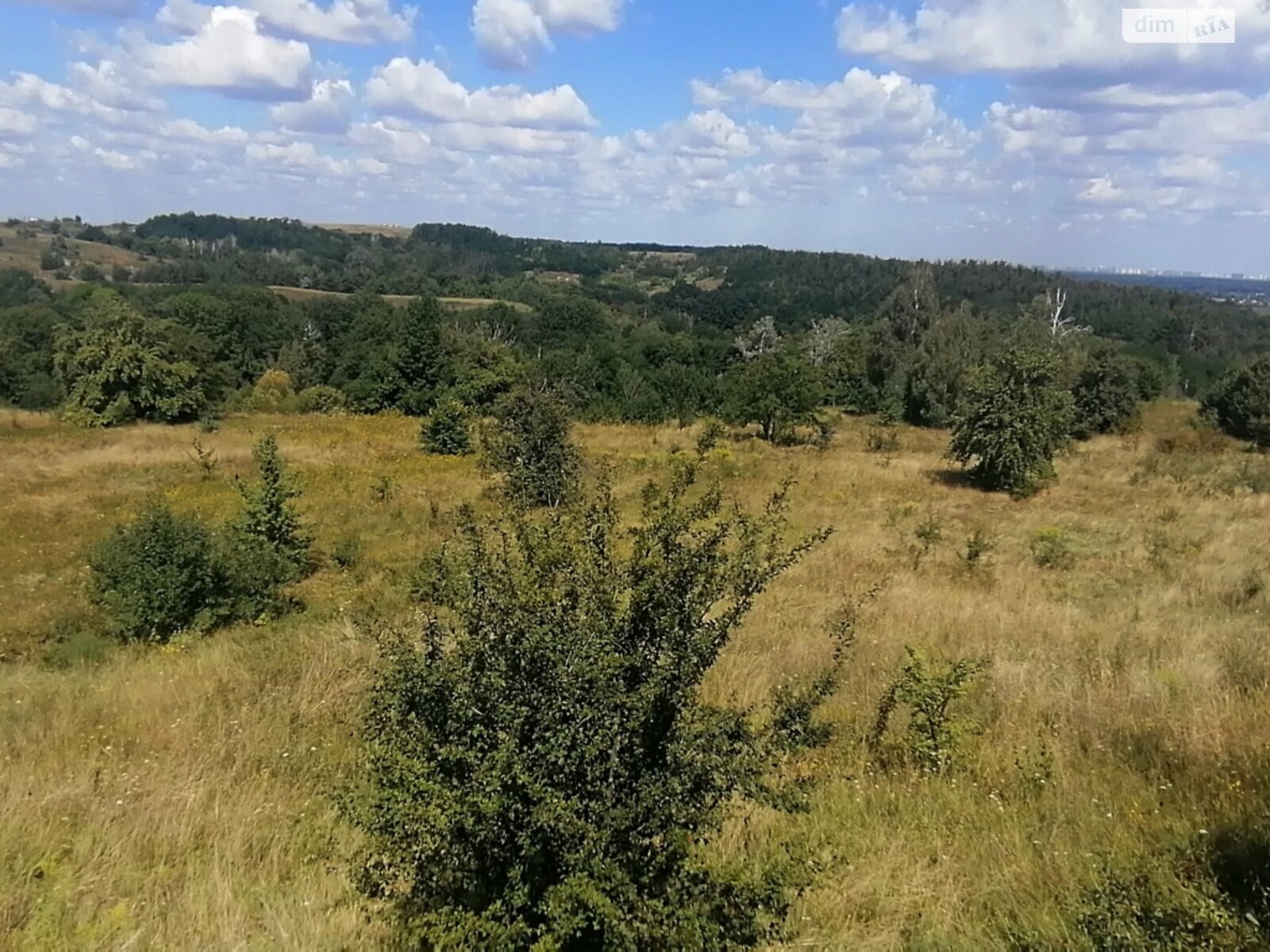 Земельна ділянка під житлову забудову в Підгірцях, площа 14 соток фото 1 Земельна ділянка під житлову забудову в Підгірцях, площа 14 соток фото 1