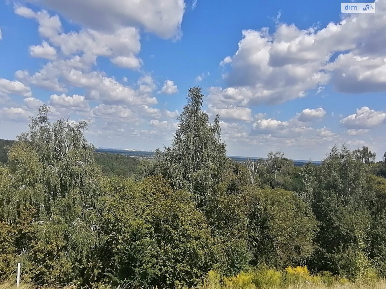 Земельна ділянка під житлову забудову в Підгірцях, площа 14 соток фото 1 Земельна ділянка під житлову забудову в Підгірцях, площа 14 соток фото 1
