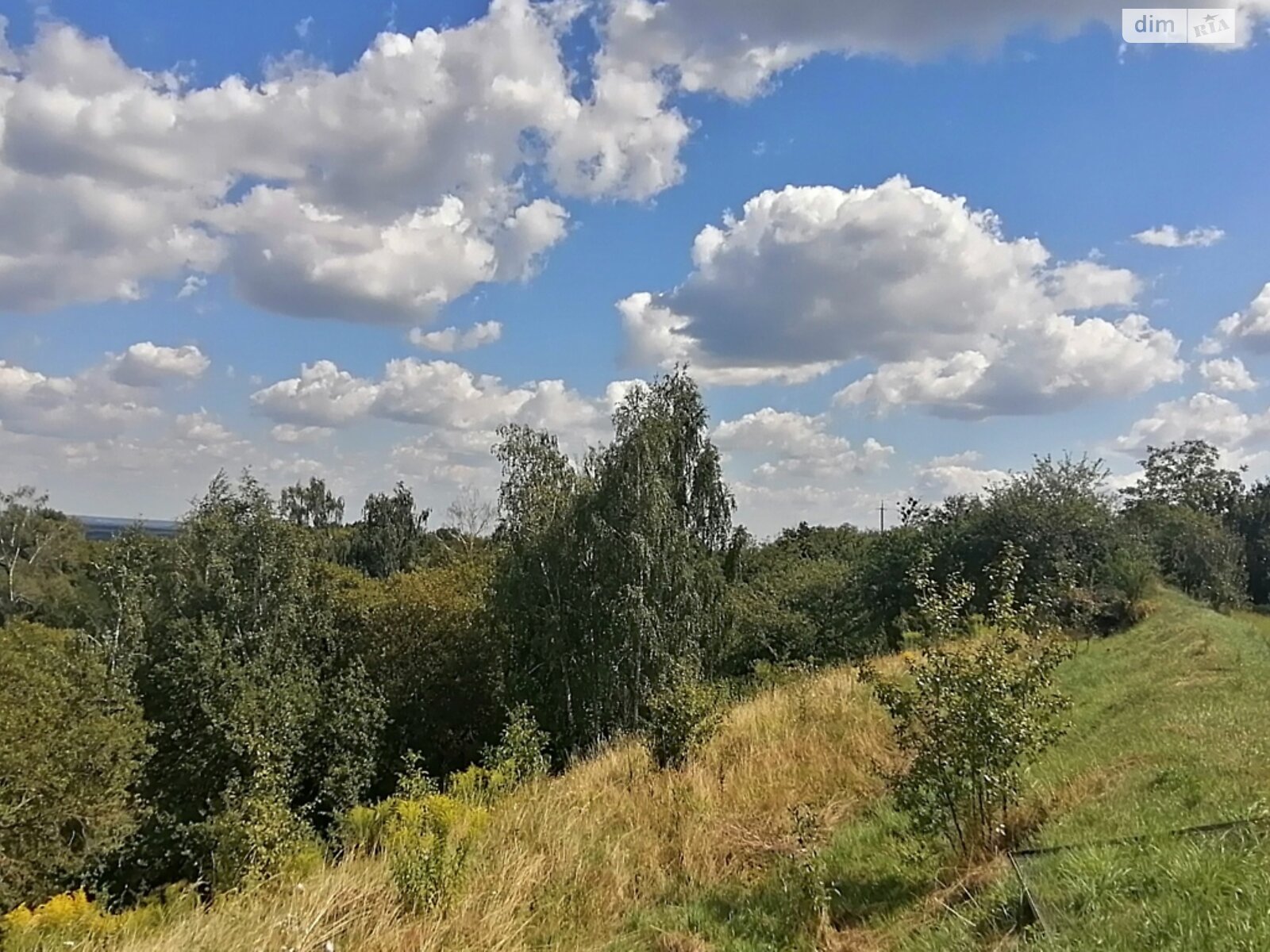 Земельна ділянка під житлову забудову в Підгірцях, площа 14 соток фото 1 Земельна ділянка під житлову забудову в Підгірцях, площа 14 соток фото 1